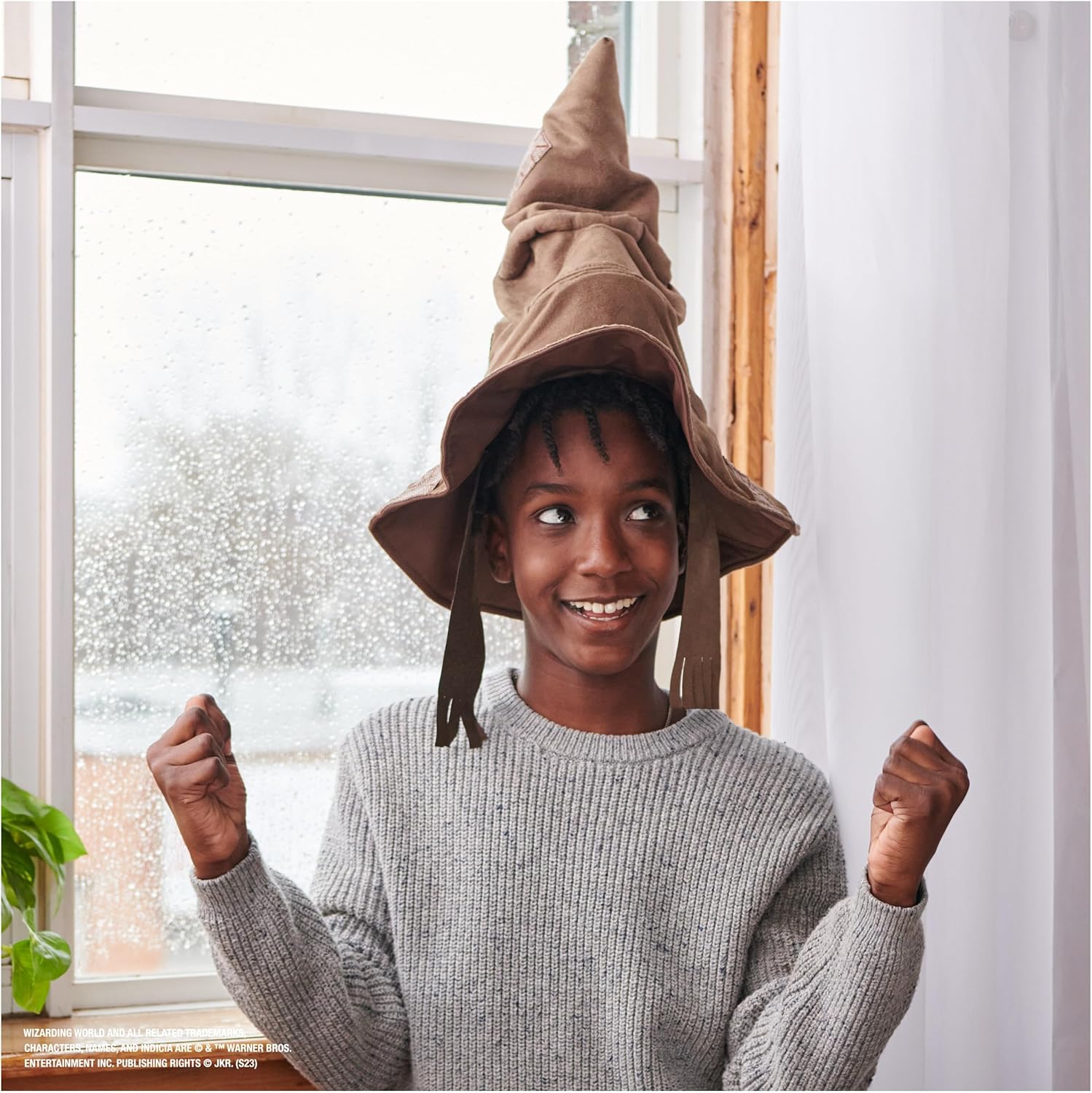 Wizarding World Harry Potter Talking Sorting Hat (No Cash On Delivery Allowed On This Product) - Prepaid Order