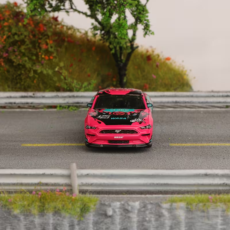 Scale 1 :64 CCA 2018 Ford Mustang GT With Acrylic Case