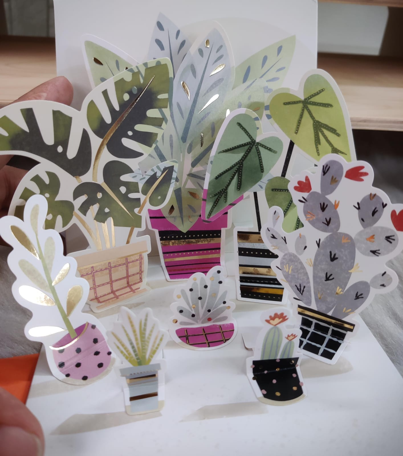 Aesthetic Planter Pop Up Greeting Card