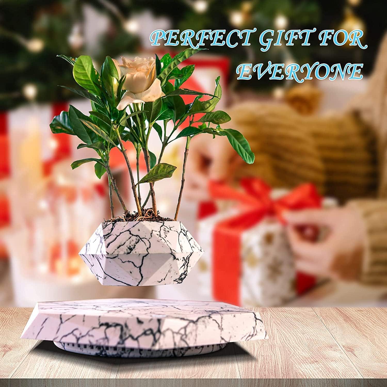 Magnetic Levitating Flower Pot Negative Ion Geometry 360° Floating Bonsai Planter - White (Plants Not Included) (No Cash On Delivery Allowed On This Product) - Prepaid Orders Only