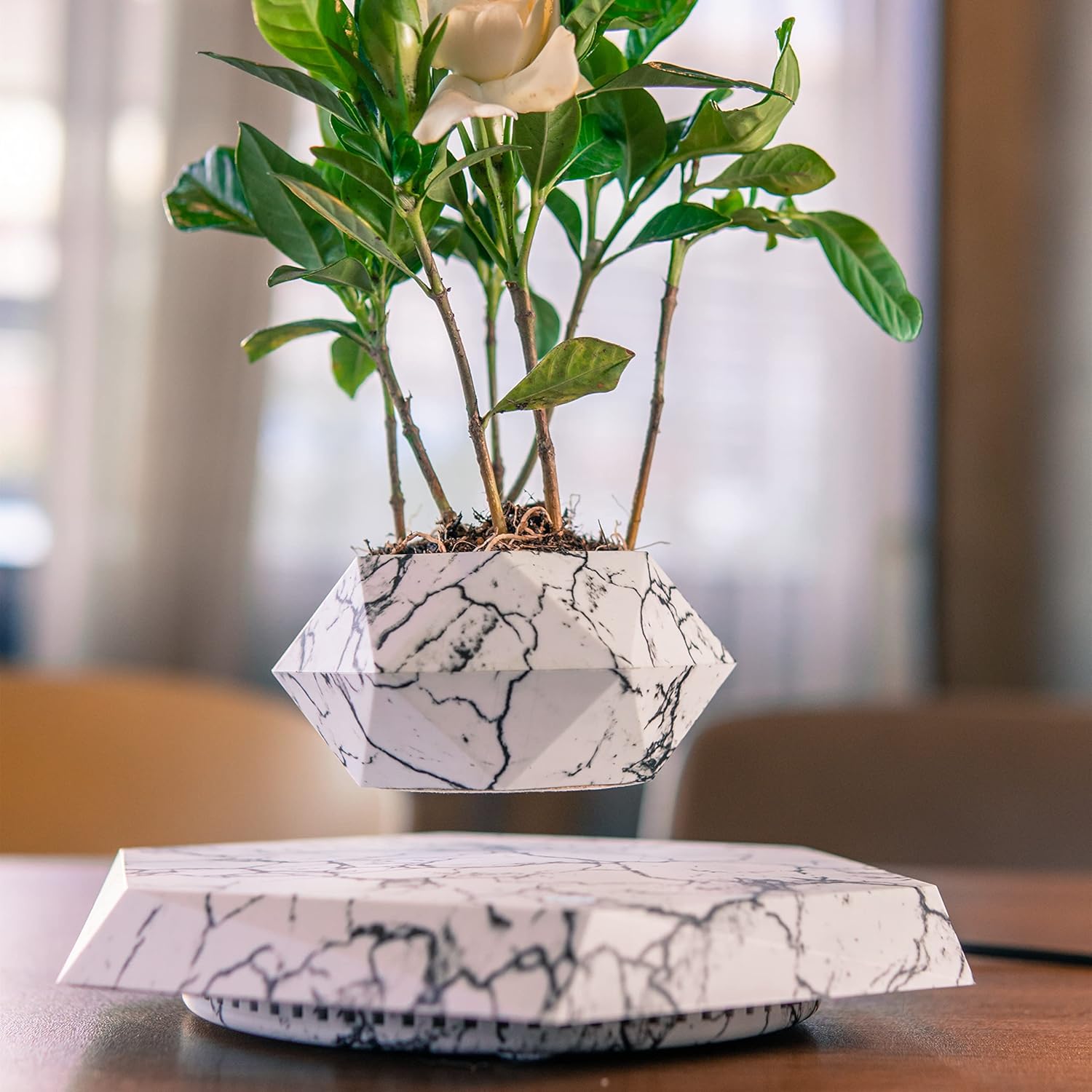 Buy Magnetic Levitating Flower Pot Negative Ion Geometry Floating Bonsai  Planter - White (Plants Not Included)