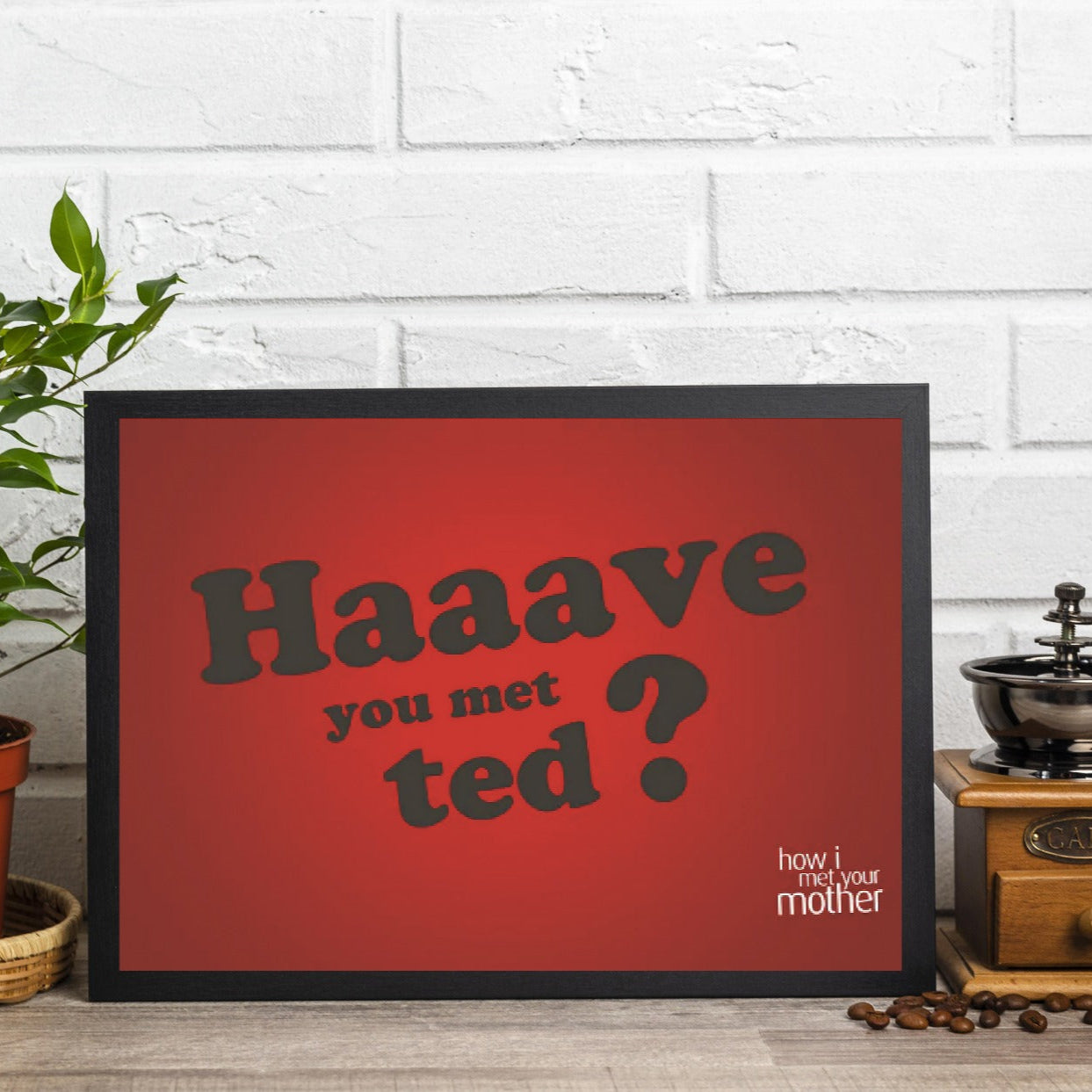 How I Met Your Mother - Have You Met Ted A4 Frame