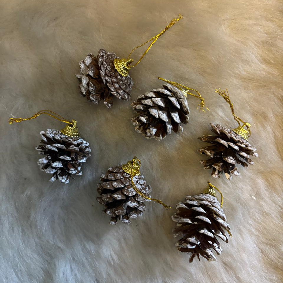 Christmas Hanging Ornament (Set of 6)