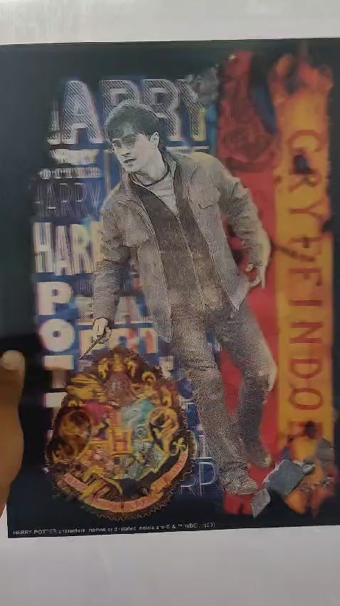 Harry Potter 3D Poster