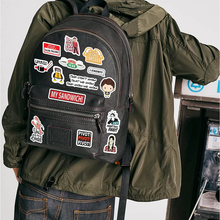 FRIENDS TV SERIES - SET OF 5 VINYL STICKER SHEETS - ThePeppyStore