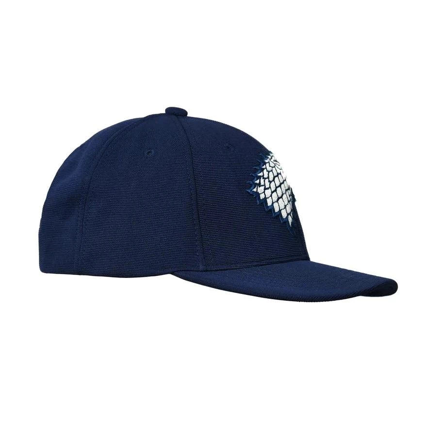 Game Of Thrones House Of Stark Sigil Hip Hop Cap For Men - Navy Blue - ThePeppyStore