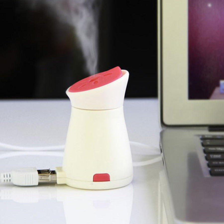 Penguin Aroma Diffuser Mist Dispenser - Mini Table Top Humudifier with Aroma Dispenser - USB Chargeable (Choose From DropDown Menu)