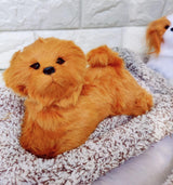 Dog Plush Bobblehead  ( Choose From Drop Down Menu )