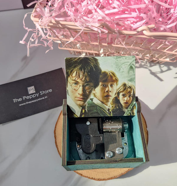 Harry Potter Character Self - Winding Music Box