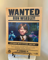 Harry Potter Wanted 3D Poster