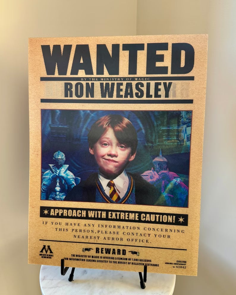Harry Potter Wanted 3D Poster