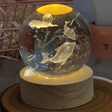 3D Crystal 2 Whale With Warm Led with Wood Base