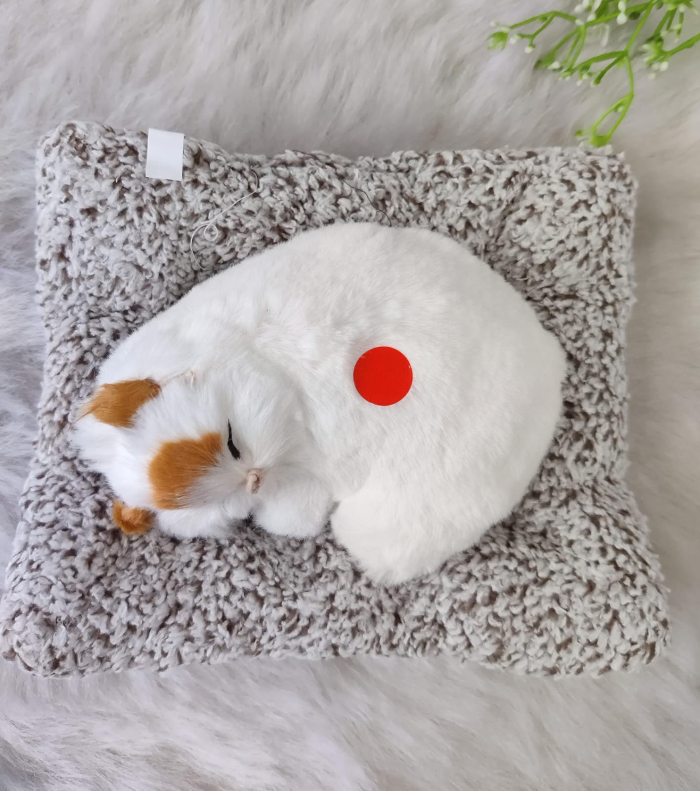 Real Looking Cute Cat Close Eyes Show Piece With Meow Sound ( Select From Drop Down Menu)