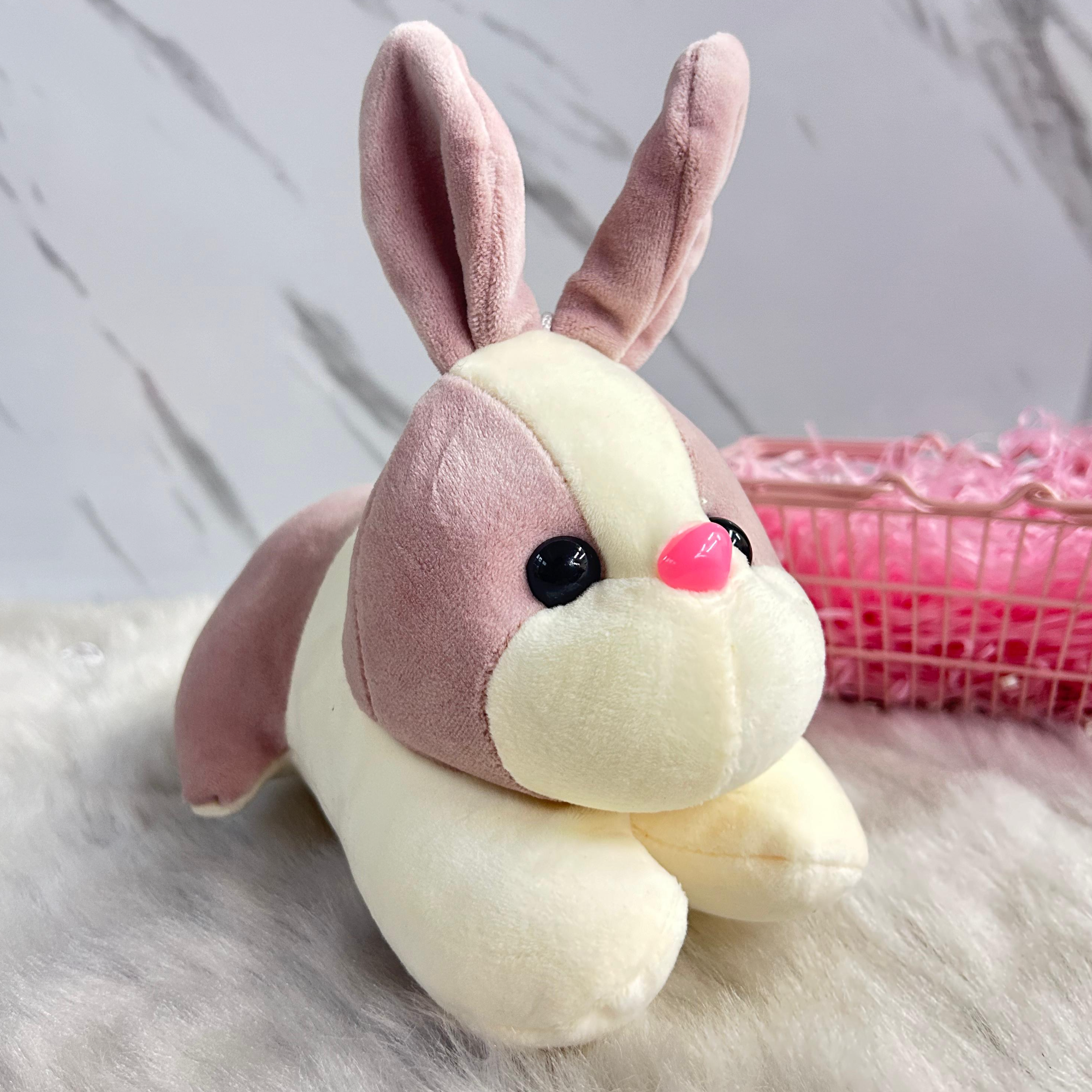 Bunny Soft Toy (Select From Drop Down Menu)