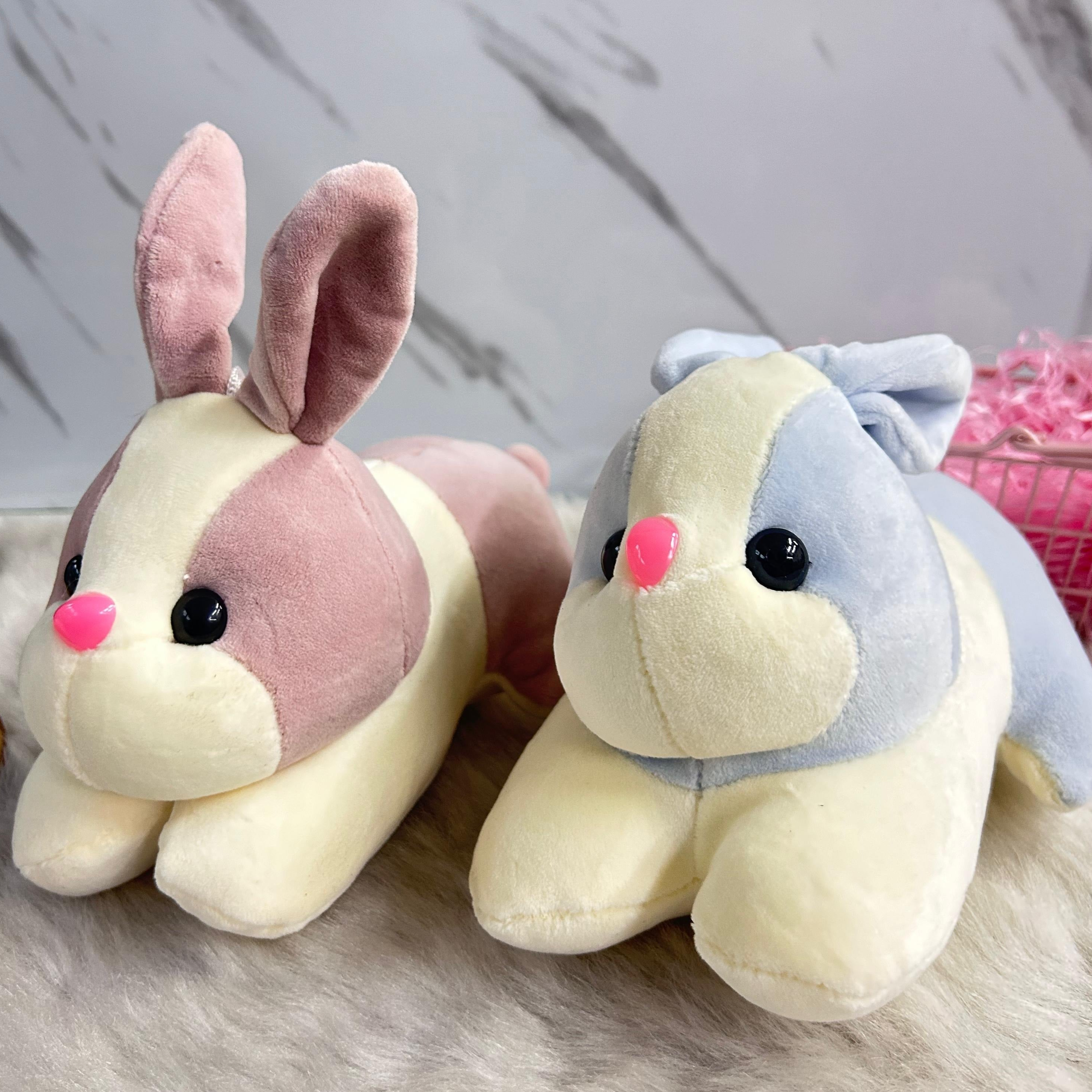 Bunny Soft Toy (Select From Drop Down Menu)