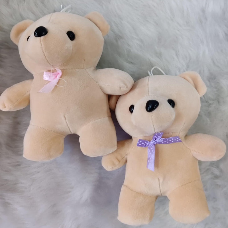 Teddy Bear Soft Toy (Select From Drop Down Menu)