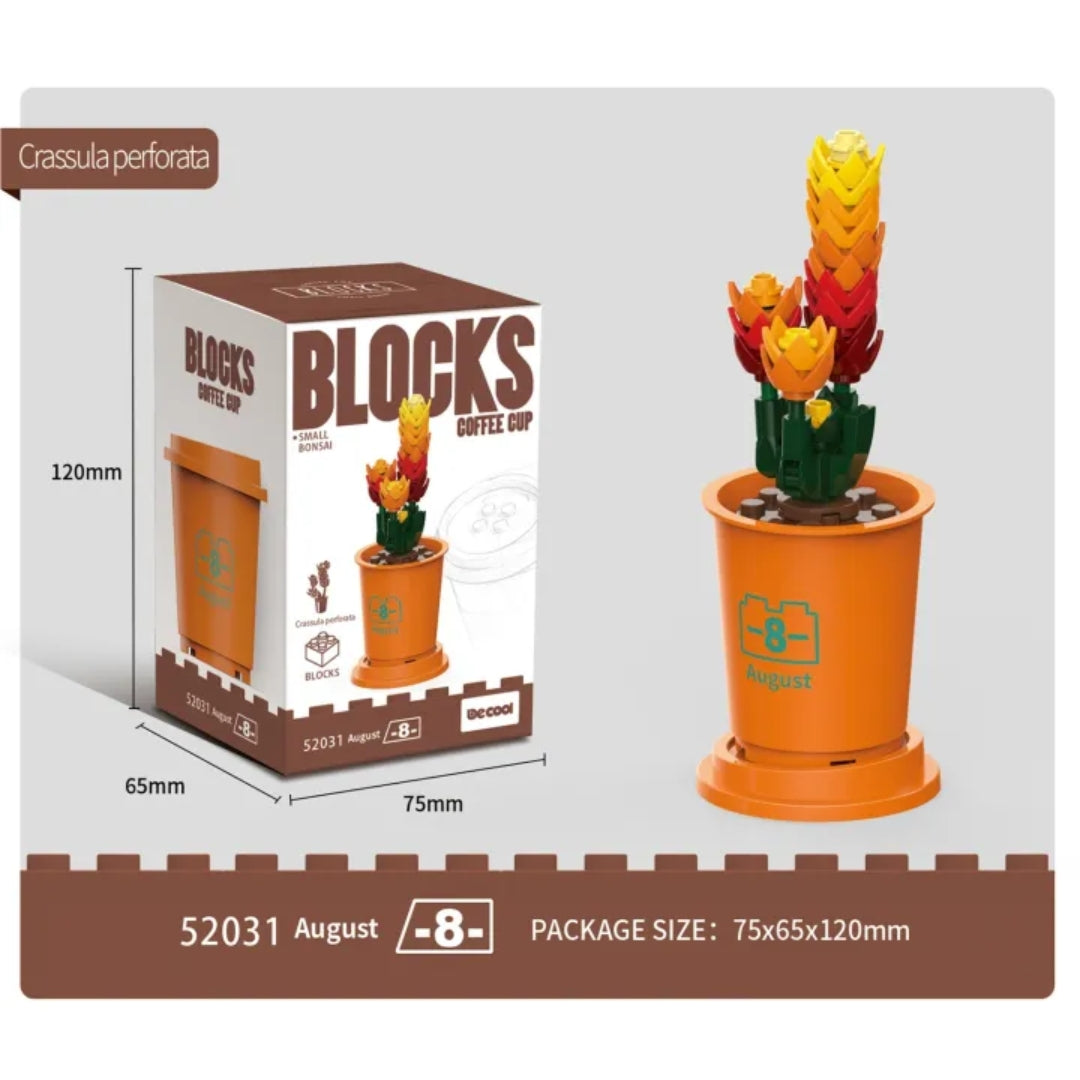 Decool 3D DIY Blocks Coffee Cup Small Bonsai for Decor - Crassula Perforata