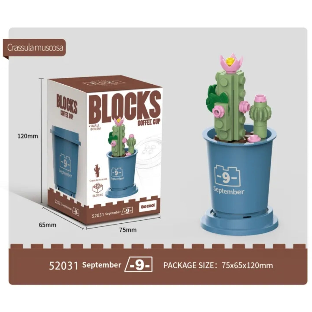 Decool 3D DIY Blocks Coffee Cup Small Bonsai for Decor - Crassula Muscosa