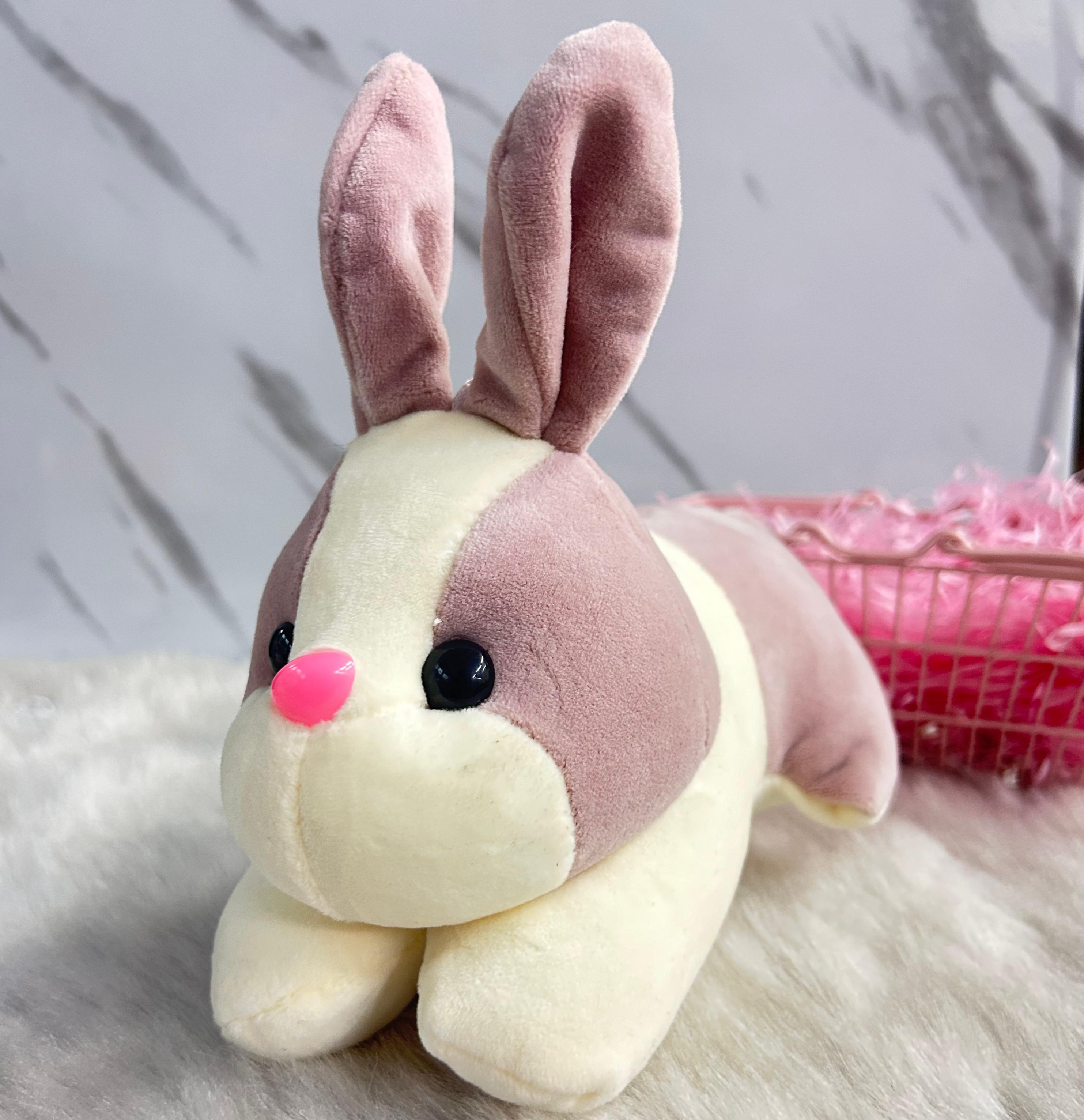 Bunny Soft Toy (Select From Drop Down Menu)