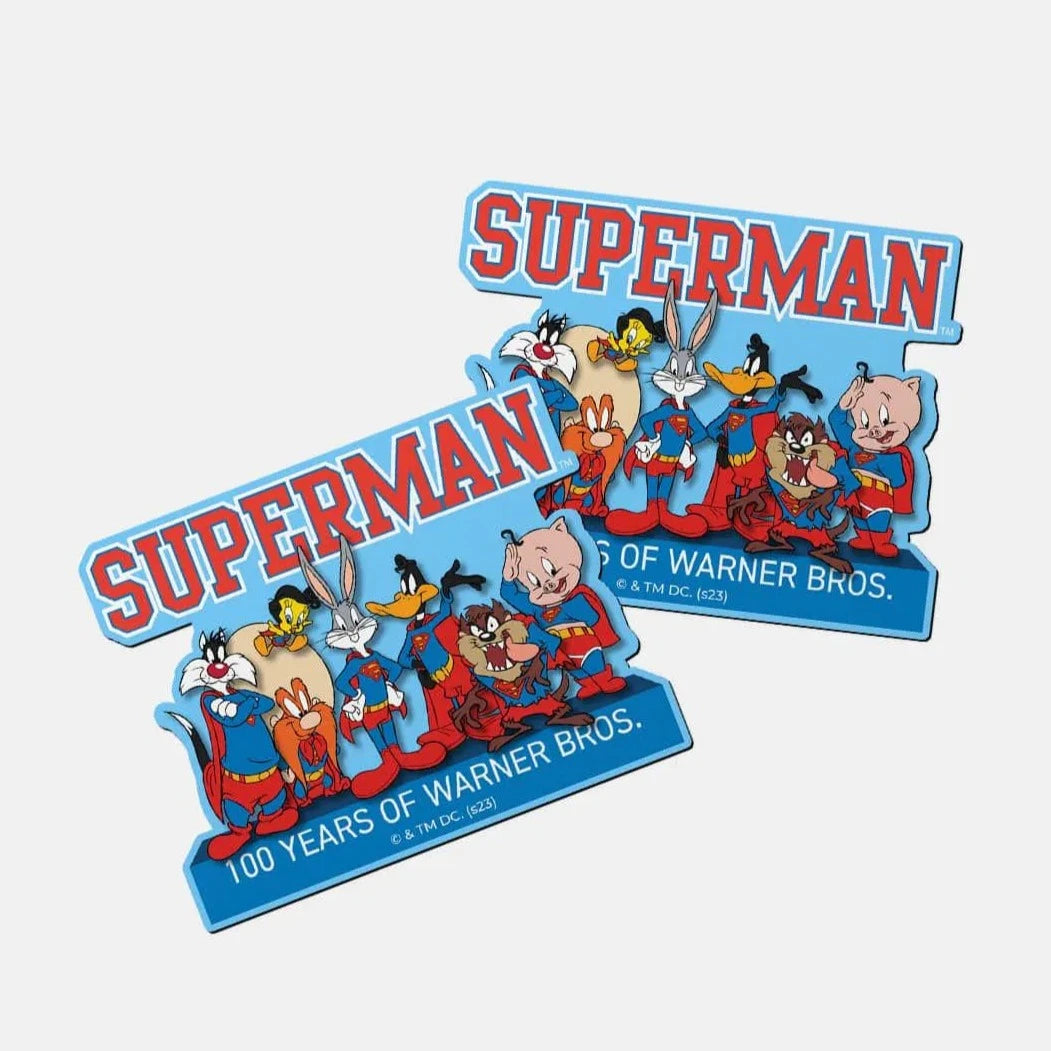 Looney x Superman Team Up - Fridge Magnet Single