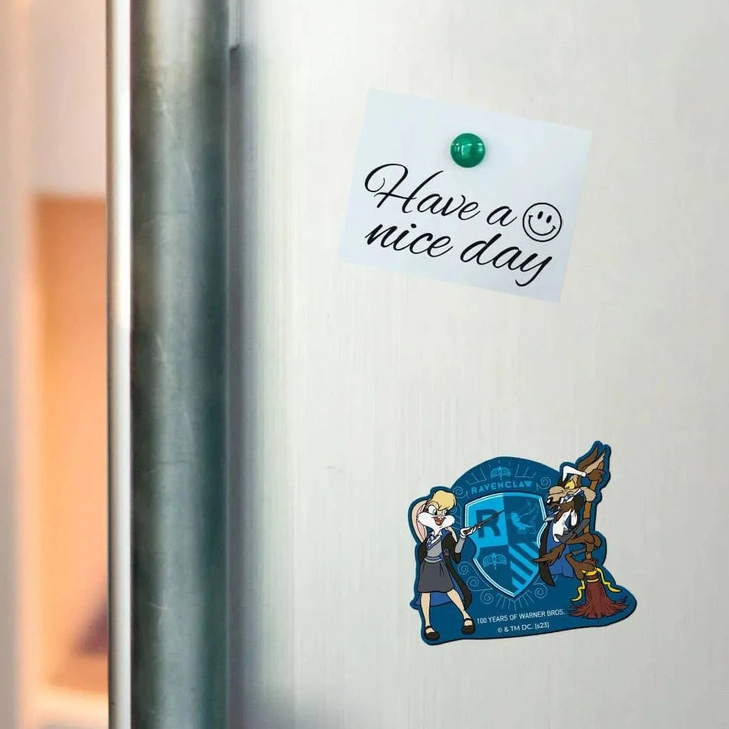 Harry Potter x Looney Ravenclaw - Fridge Magnet Single