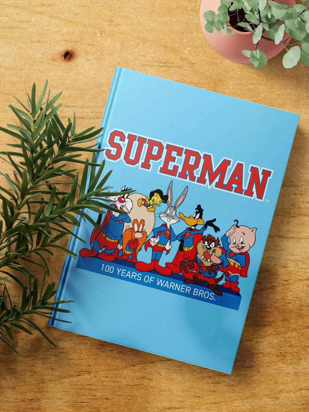 Superman Teamup - Looney Tunes x Superman Hardbound Diary