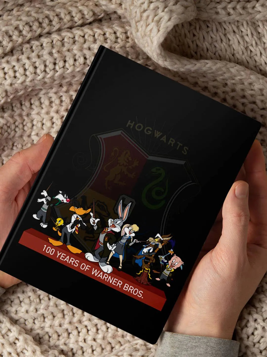 Harry Potter x Looney Tunes Hardbound Diary