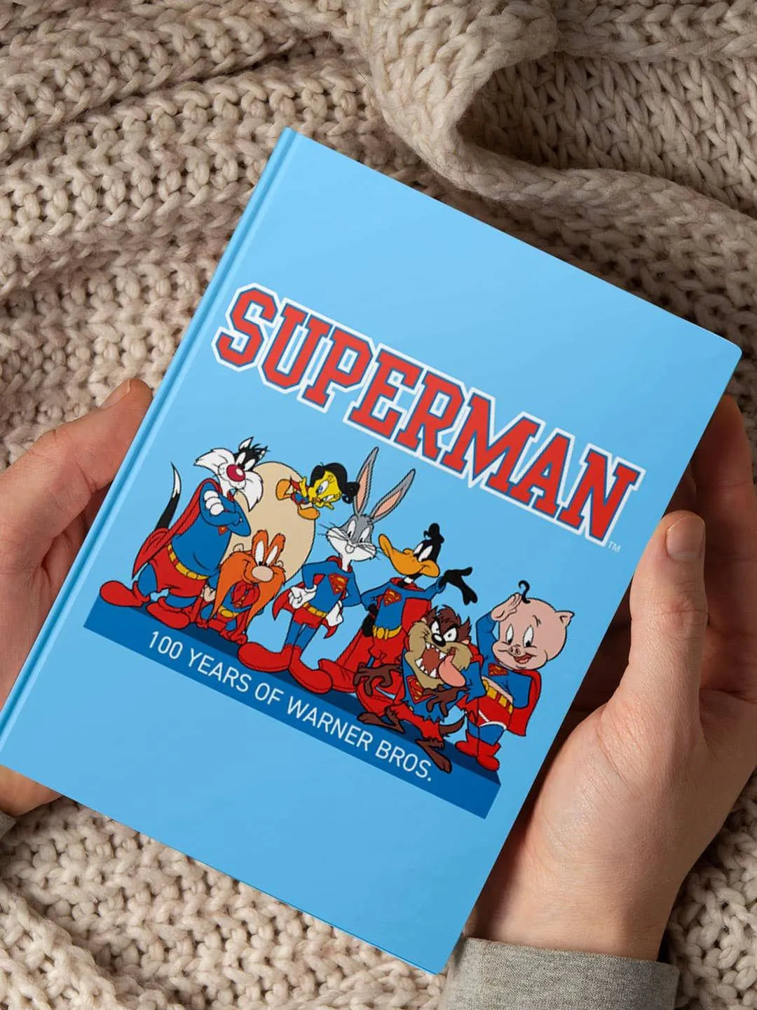 Superman Teamup - Looney Tunes x Superman Hardbound Diary