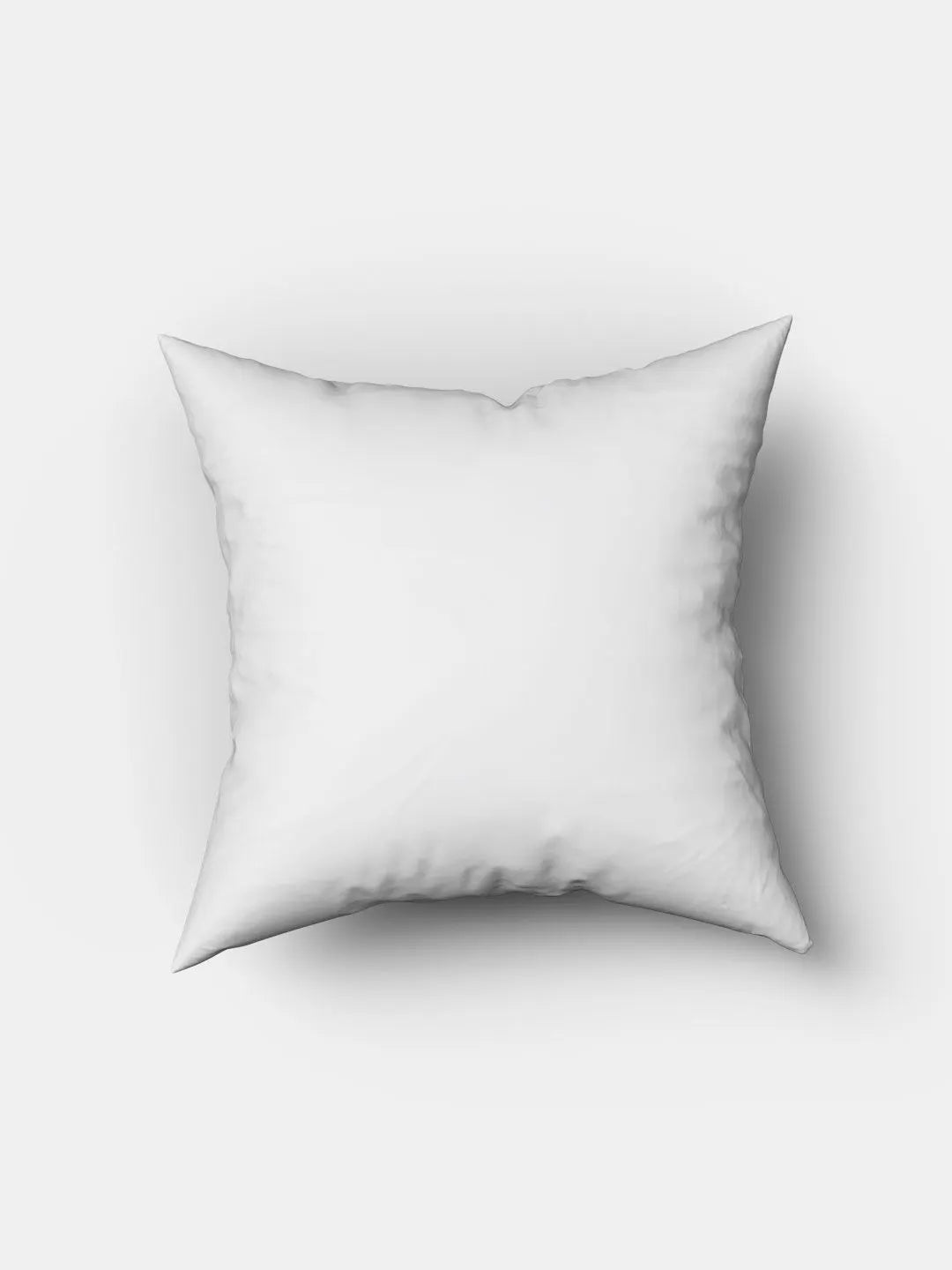 Friends Mr Rachel Square Pillow