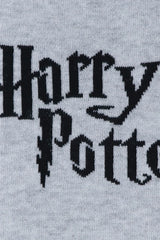 Harry Potter Logo and Hogwarts Castle Silver Lurex Socks For Women (Pack Of 2 Pairs/1U)- Silver