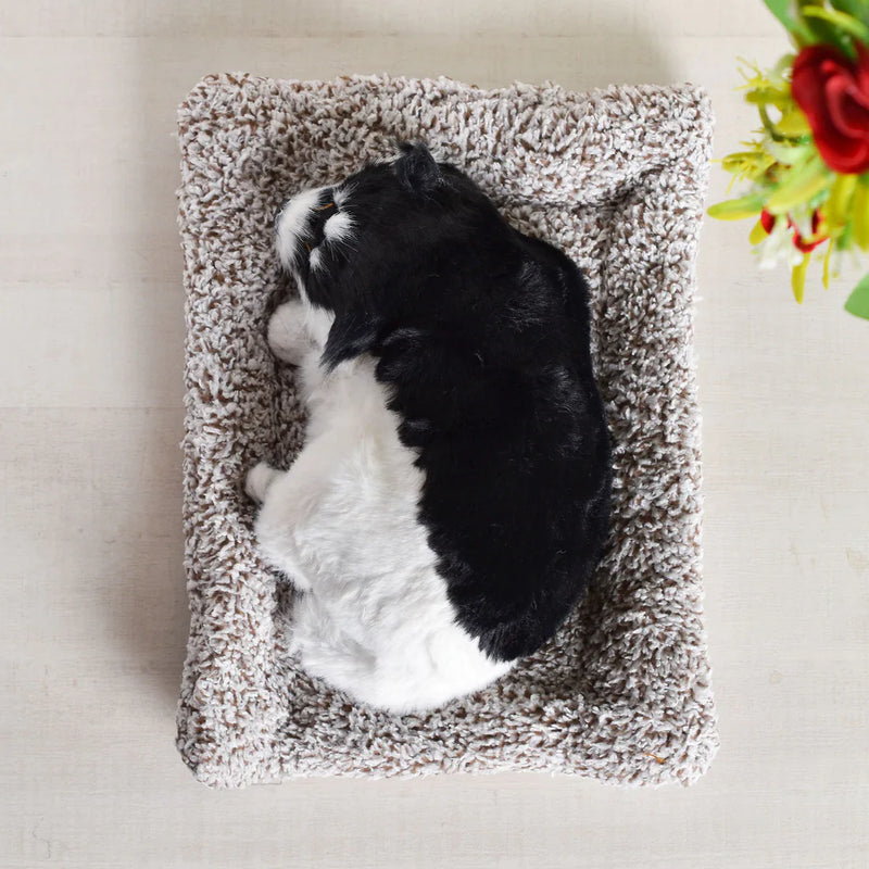 Real Looking Cute Dog Showpiece (Big) - ThePeppyStore