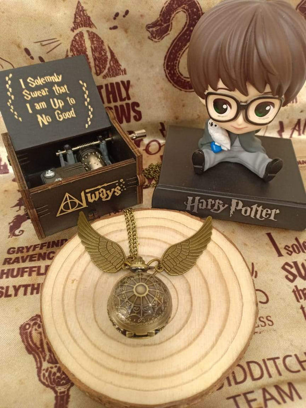 Harry Potter Combo ( Save Rs 300!) - ThePeppyStore