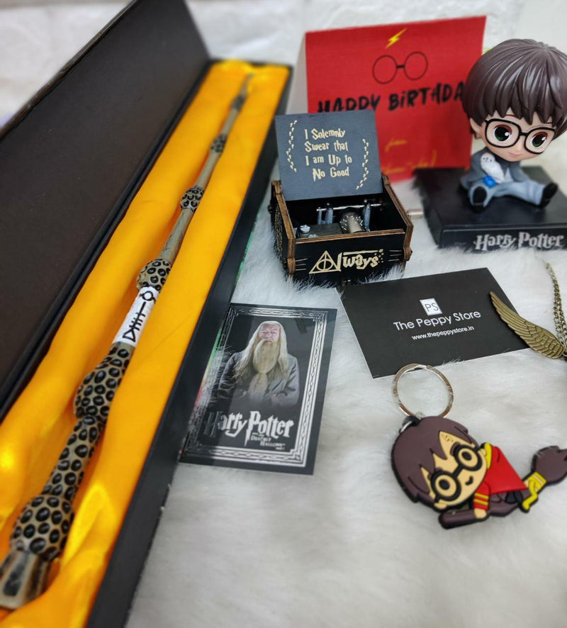 Entering Magical Nine | 9th Birthday Harry Potter Theme T-Shirt – T Bhai