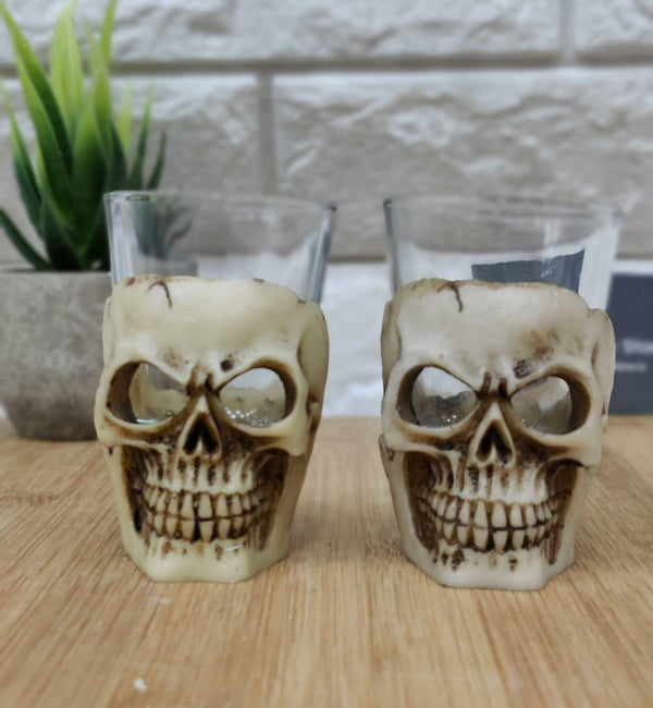 Skull shot glasses ( Set Of 2) - ThePeppyStore