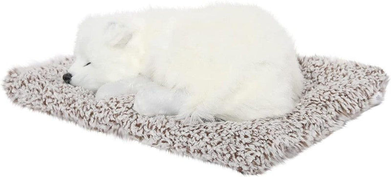 Real Looking Cute Dog Showpiece (Big) - ThePeppyStore