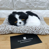 Real Looking Cute Dog Showpiece - ThePeppyStore