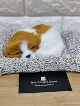 Real Looking Cute Dog Showpiece - ThePeppyStore