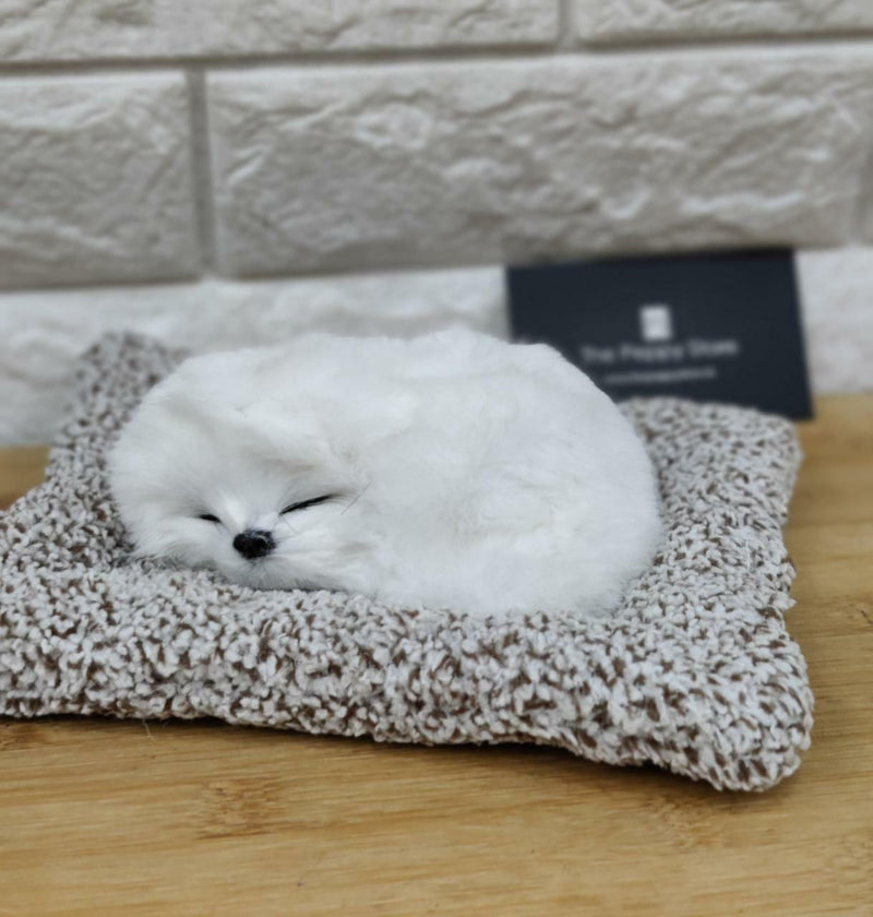 Real Looking Cute Dog Showpiece - ThePeppyStore