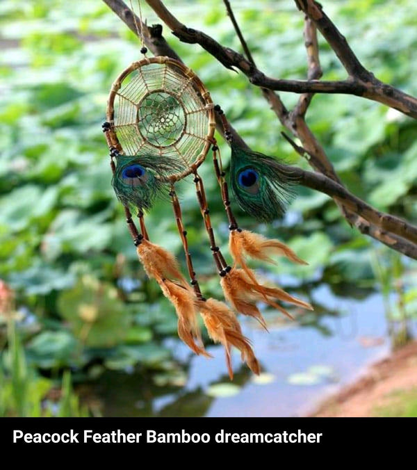 Peacock Feathers Dream Catcher - ThePeppyStore