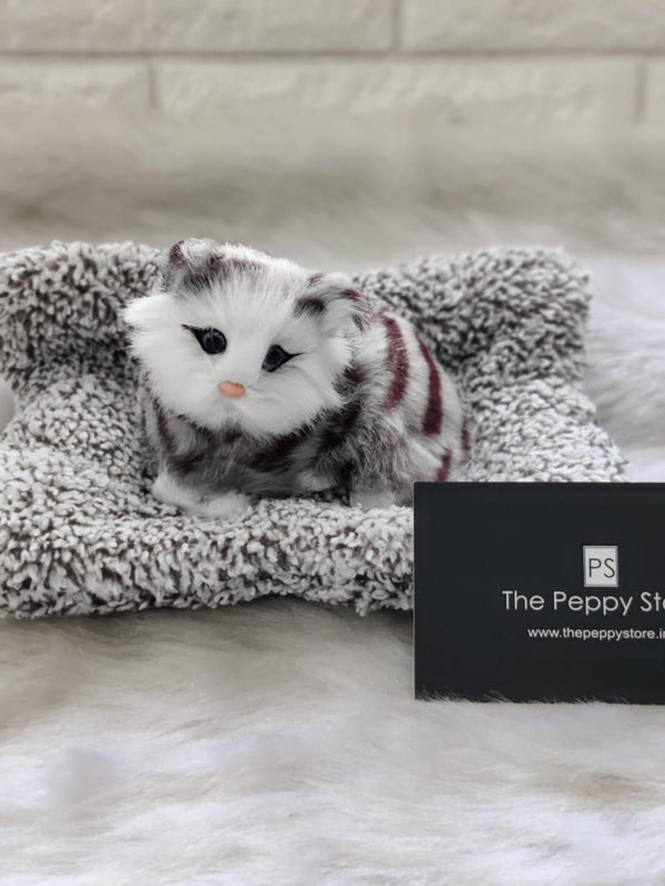 Real Looking Cute Cat Show Piece - ThePeppyStore